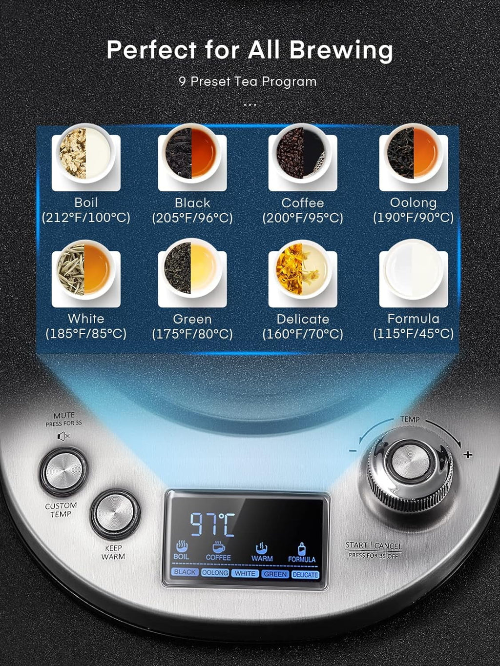 1.7L Borosilicate Glass Electric Tea Kettle with Temperature Control Q74102
