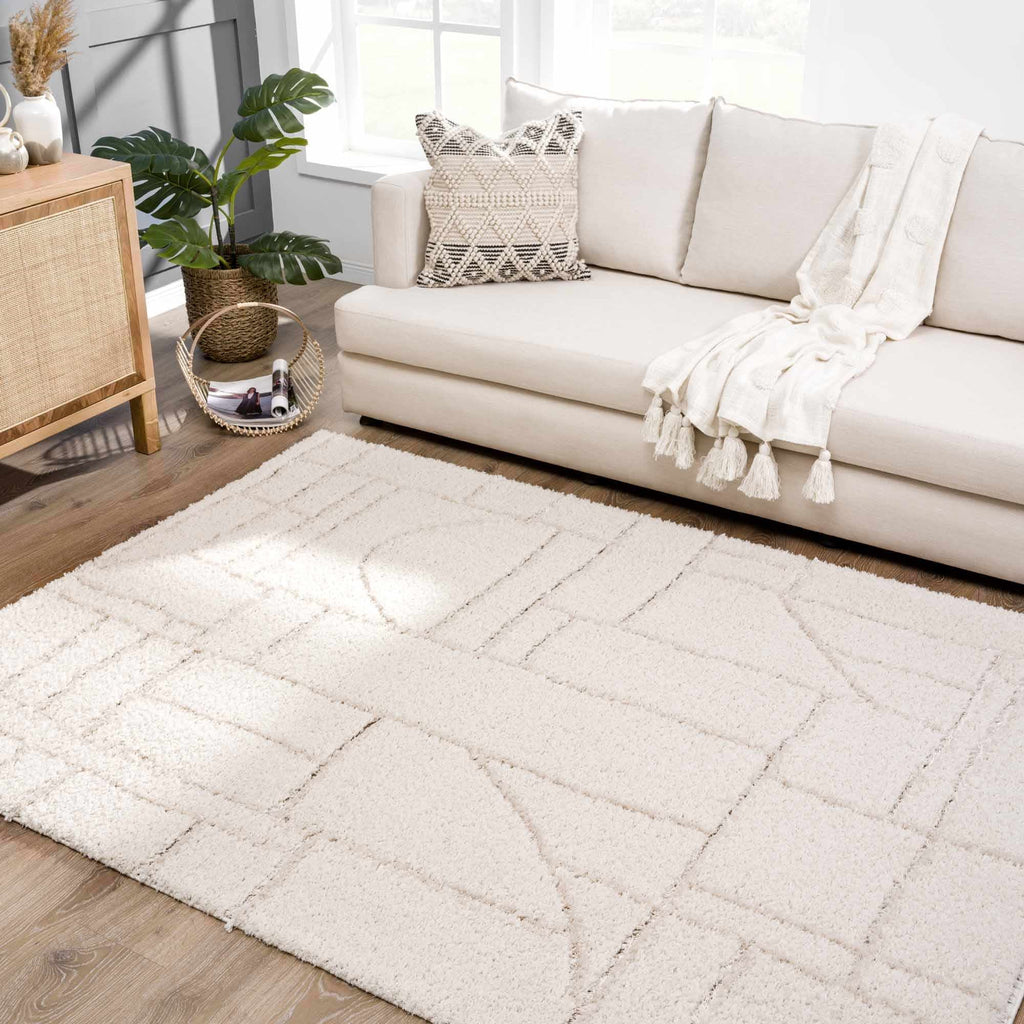 Cream White Plush Pile Area Rug Y23660