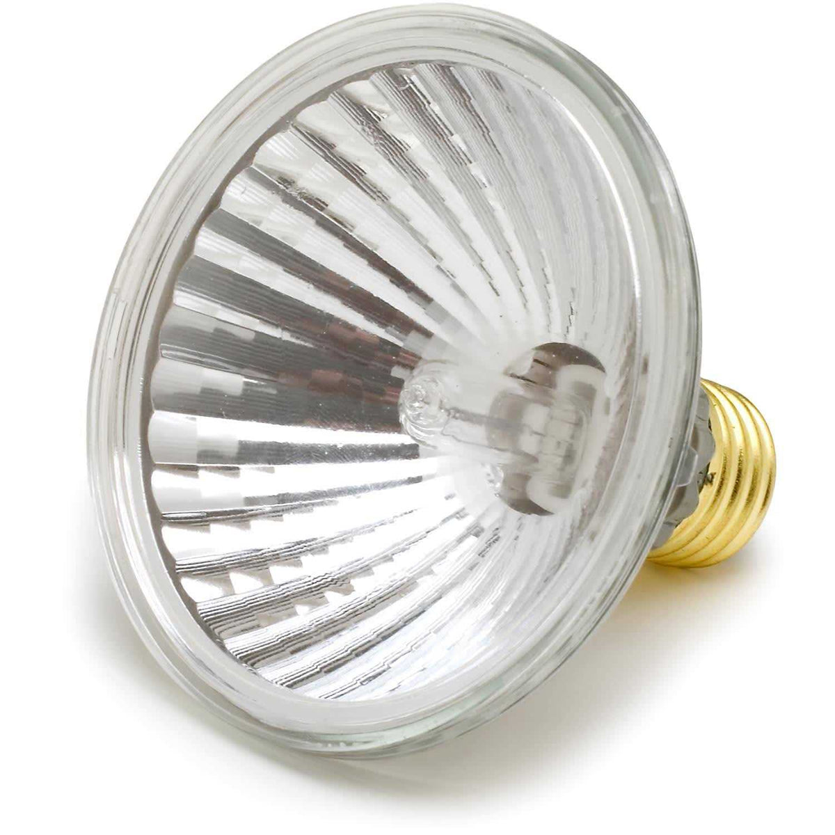 Splashproof Halogen Lamp X165125