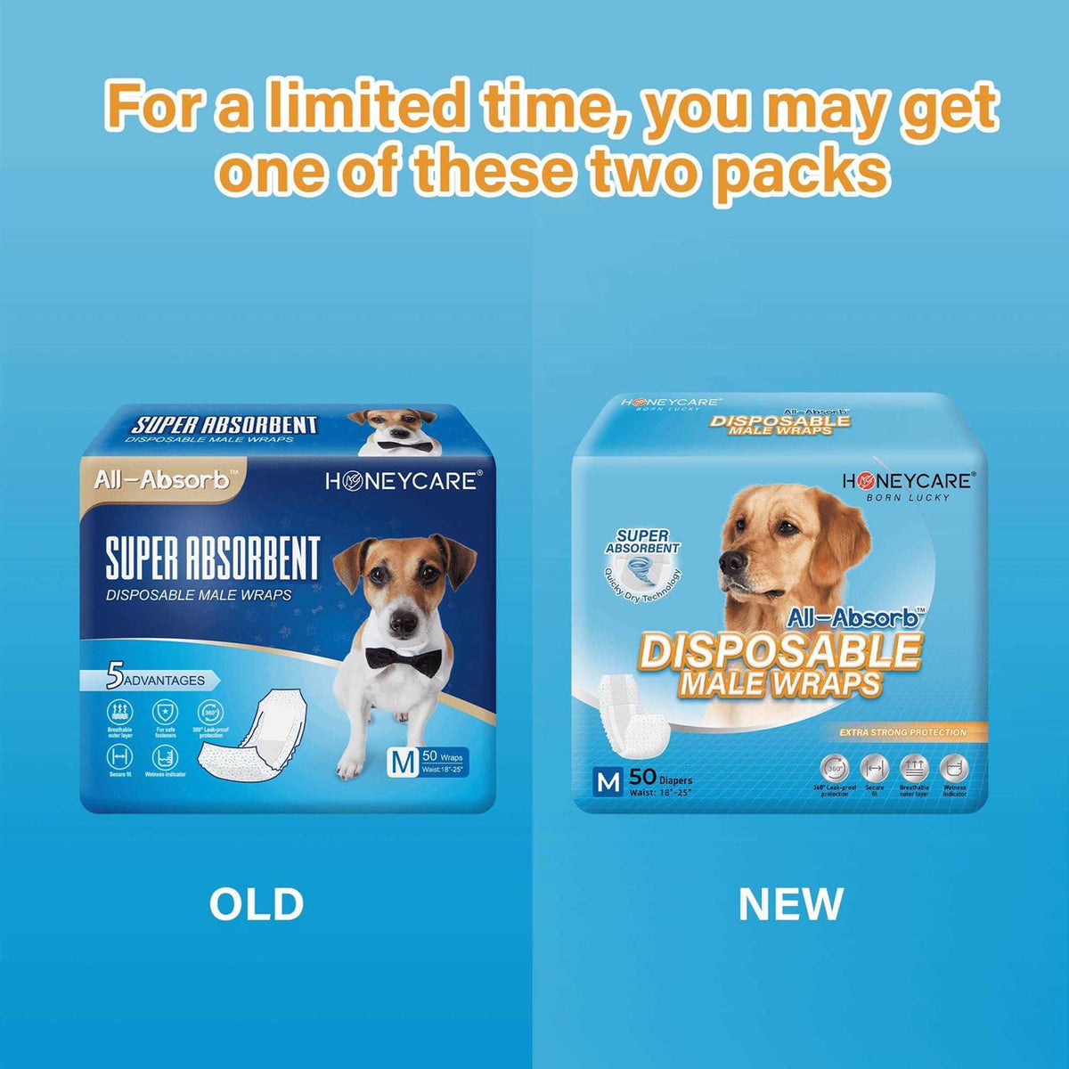 Male Dog Wrap D328881