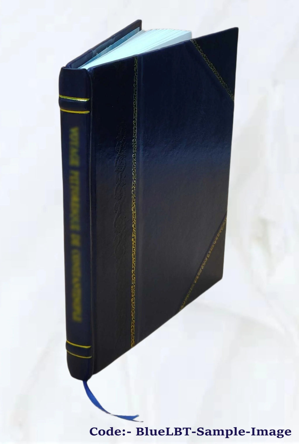 Sir Walter Scott and the border minstrelsy 1910 Leather Bound T75101