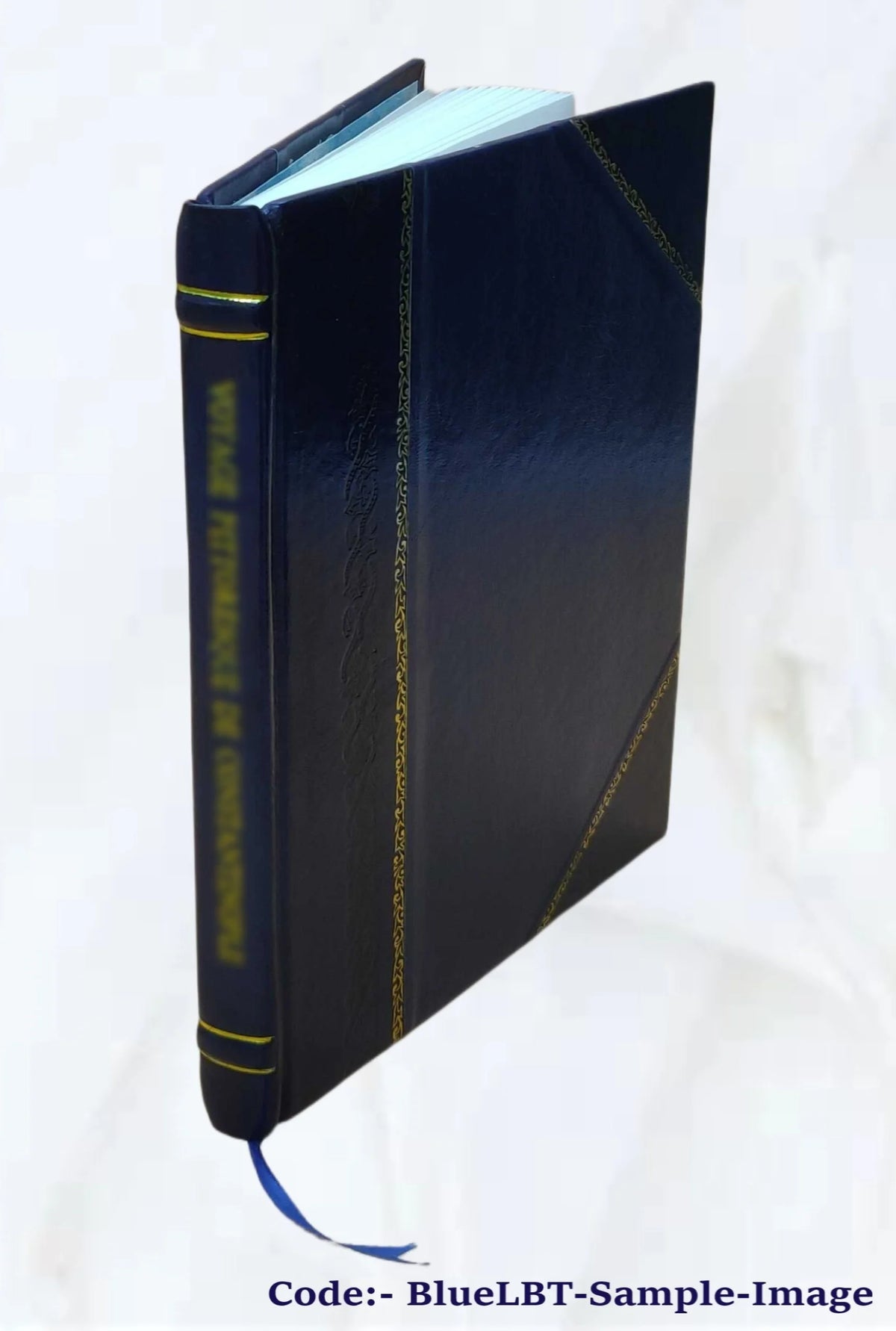 Sir Walter Scott and the border minstrelsy 1910 Leather Bound T75101