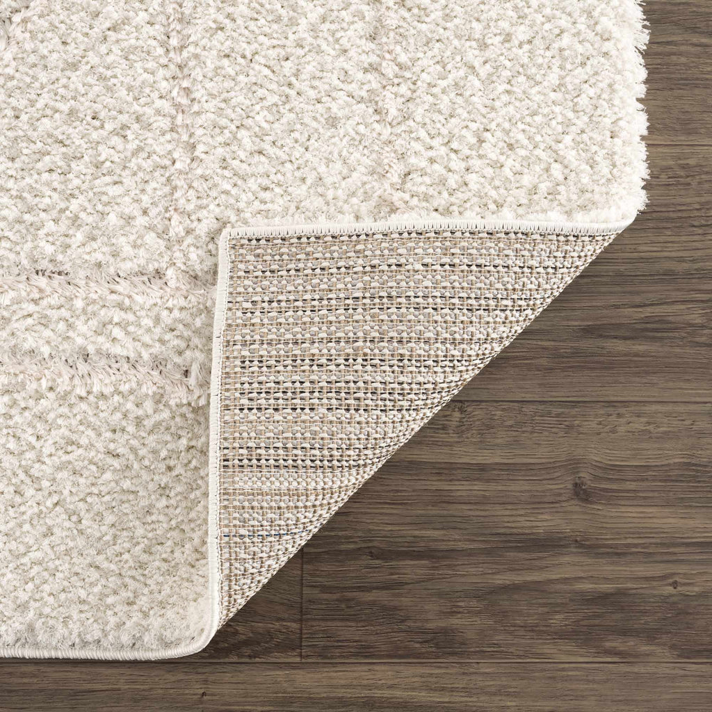 Cream White Plush Pile Area Rug Y23660
