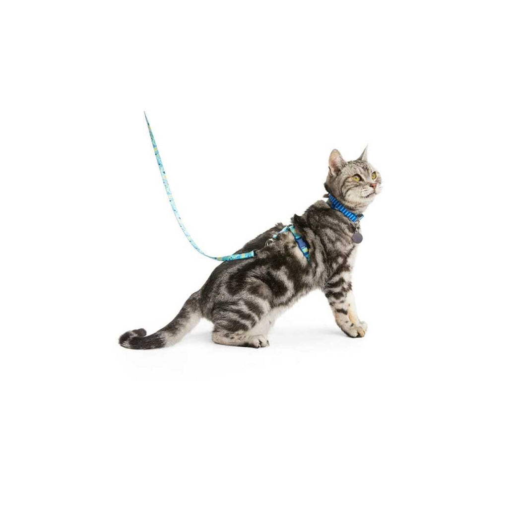 Kitten Harness & Lead F39540