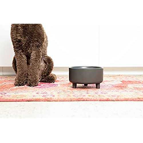 Ceramic Dog Bowl I91149