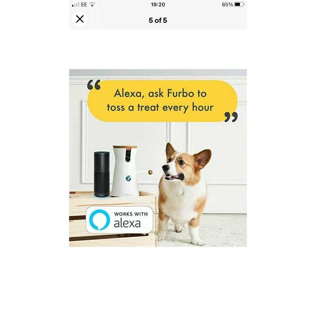 Dog Camera G81372