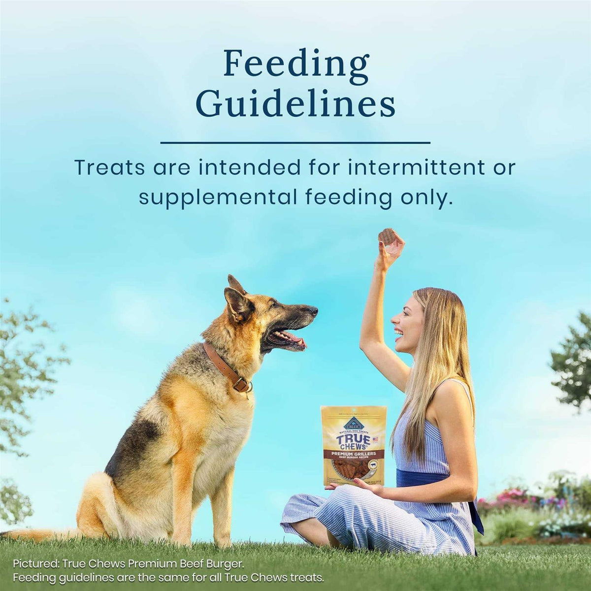 Dog Treats X1226
