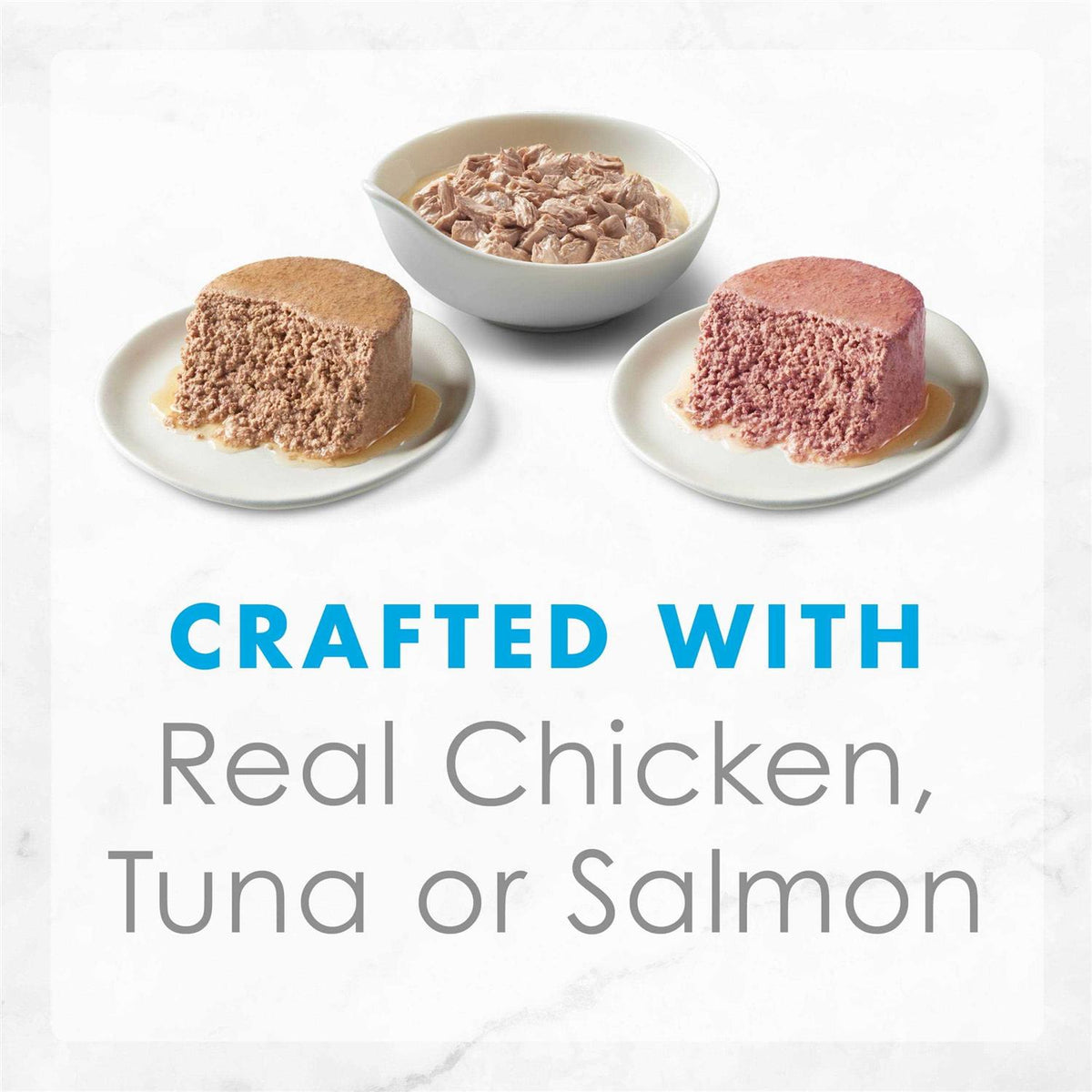 Wet Cat Food K176948