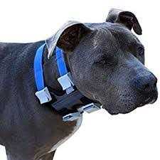 Pet Training Collar A557