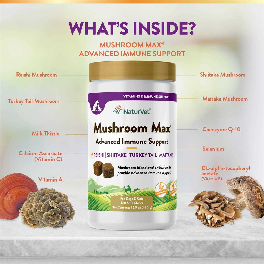 Mushroom Max Soft Chews V1960