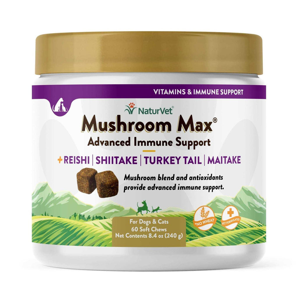 Mushroom Max Soft Chews V1960