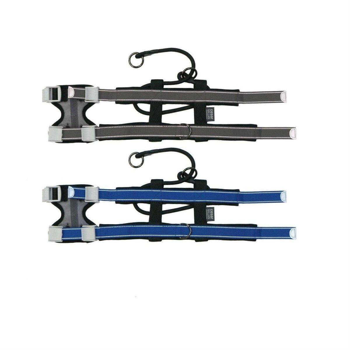Pet Training Collar A557