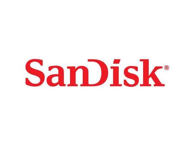 32GB Sdhc Memory Card V4463