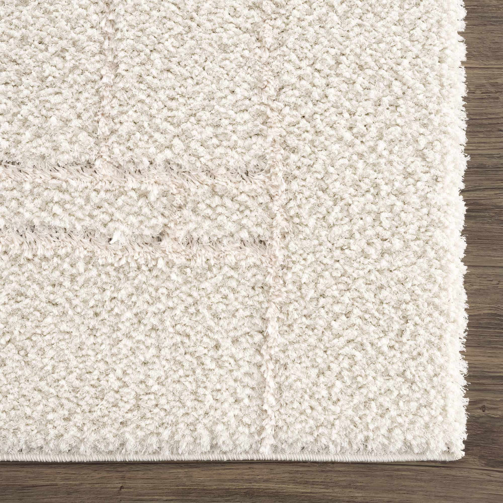 Cream White Plush Pile Area Rug Y23660