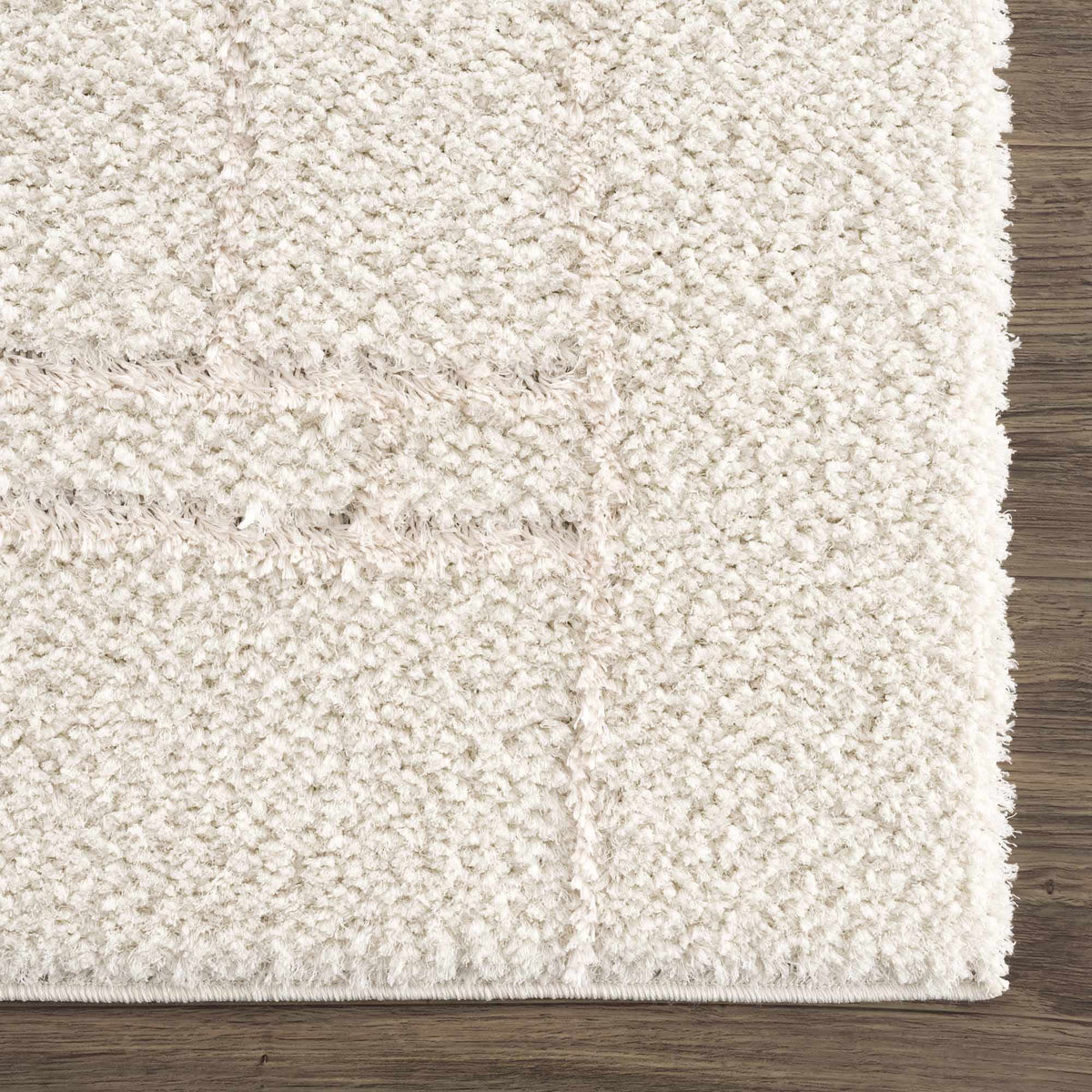 Cream White Plush Pile Area Rug Y23660