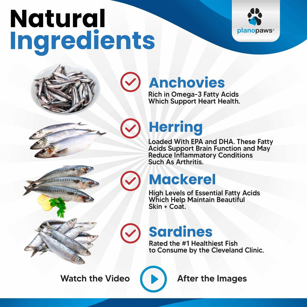 Omega 3 Fish Oil for Dogs F567