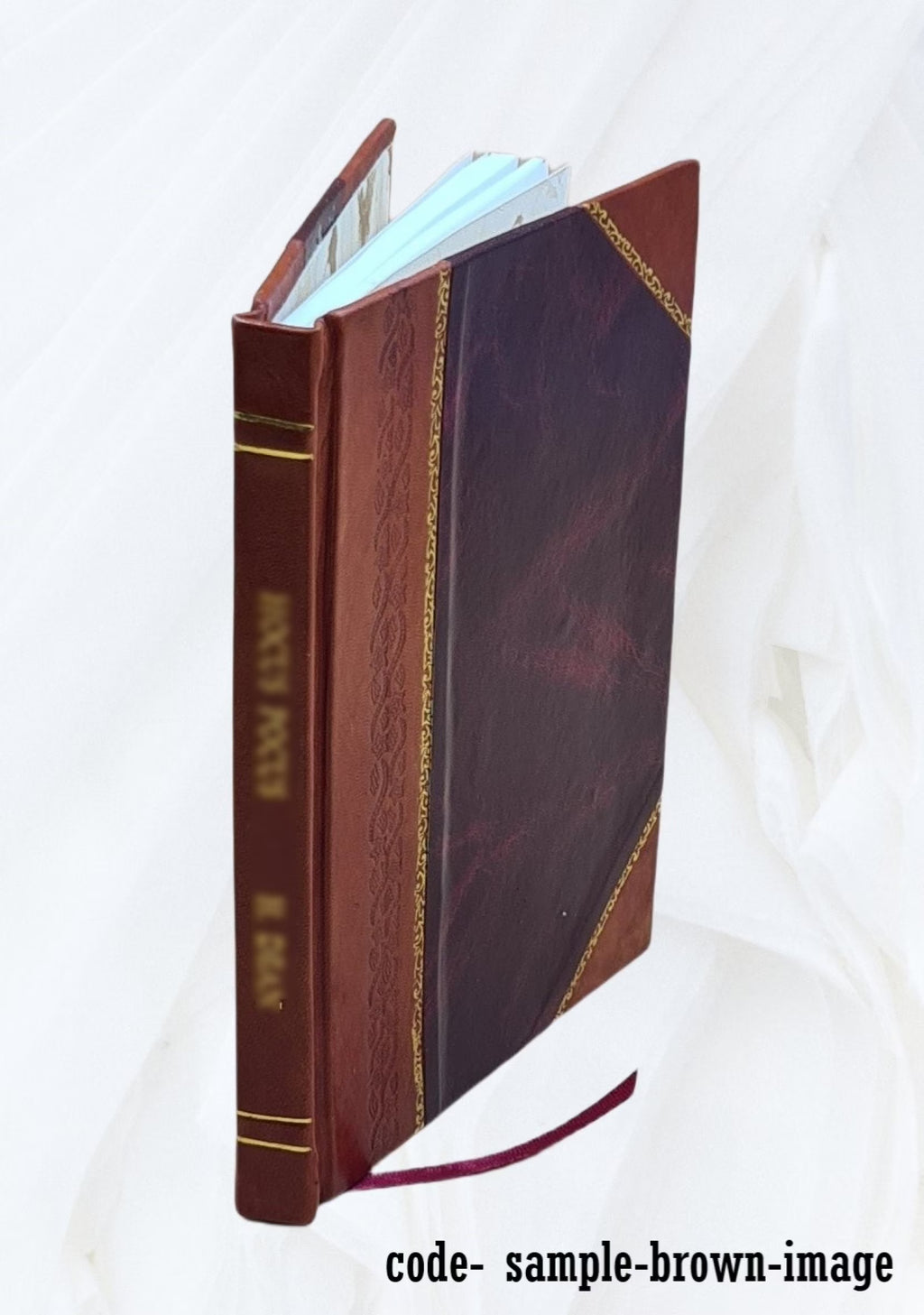 Sir Walter Scott and the border minstrelsy 1910 Leather Bound T75101