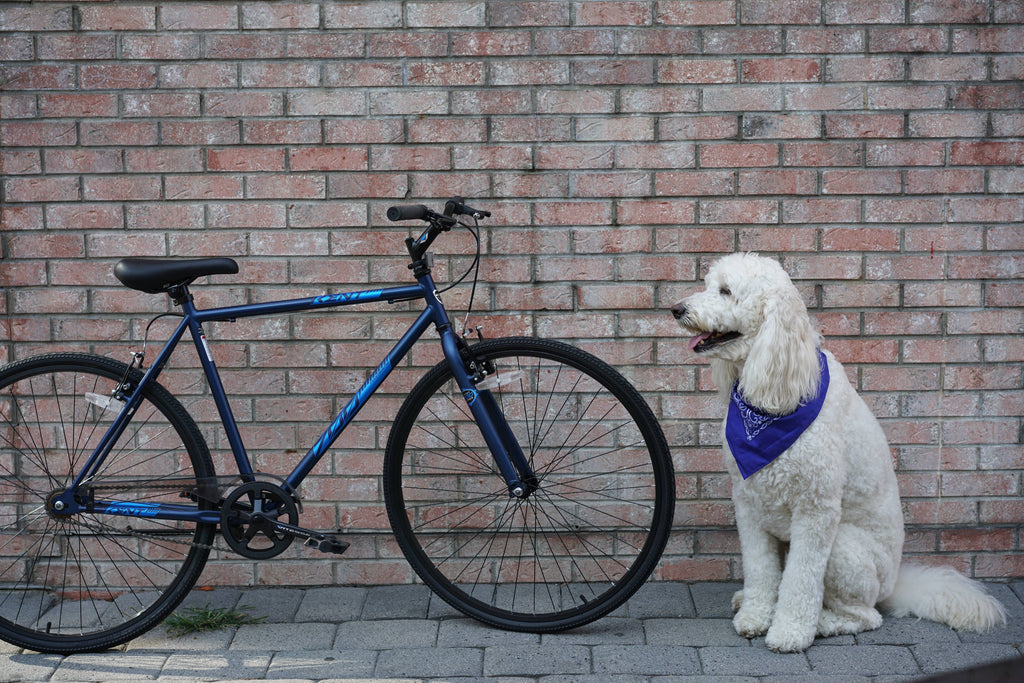 Blue 700c Bike E672