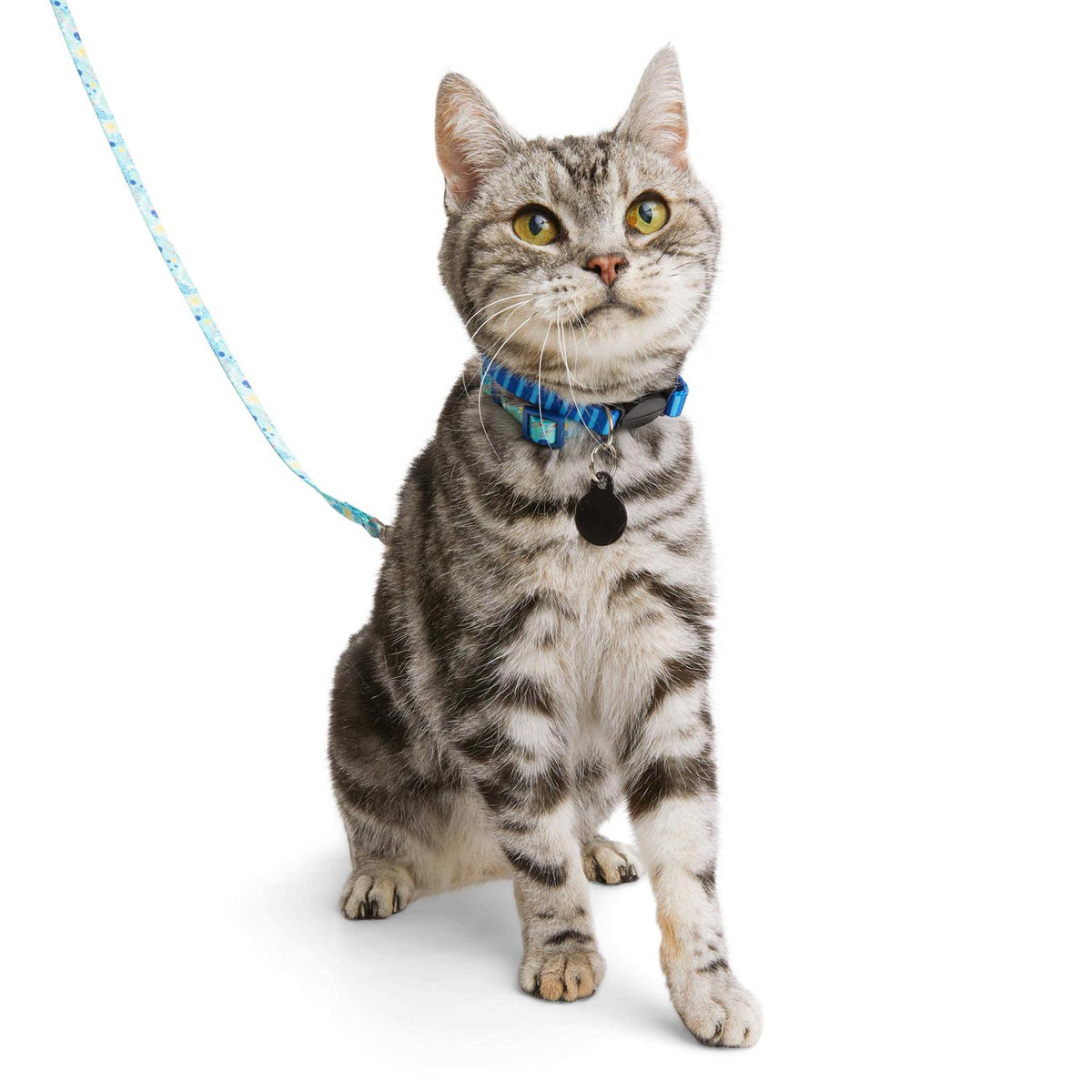Kitten Harness & Lead F39540