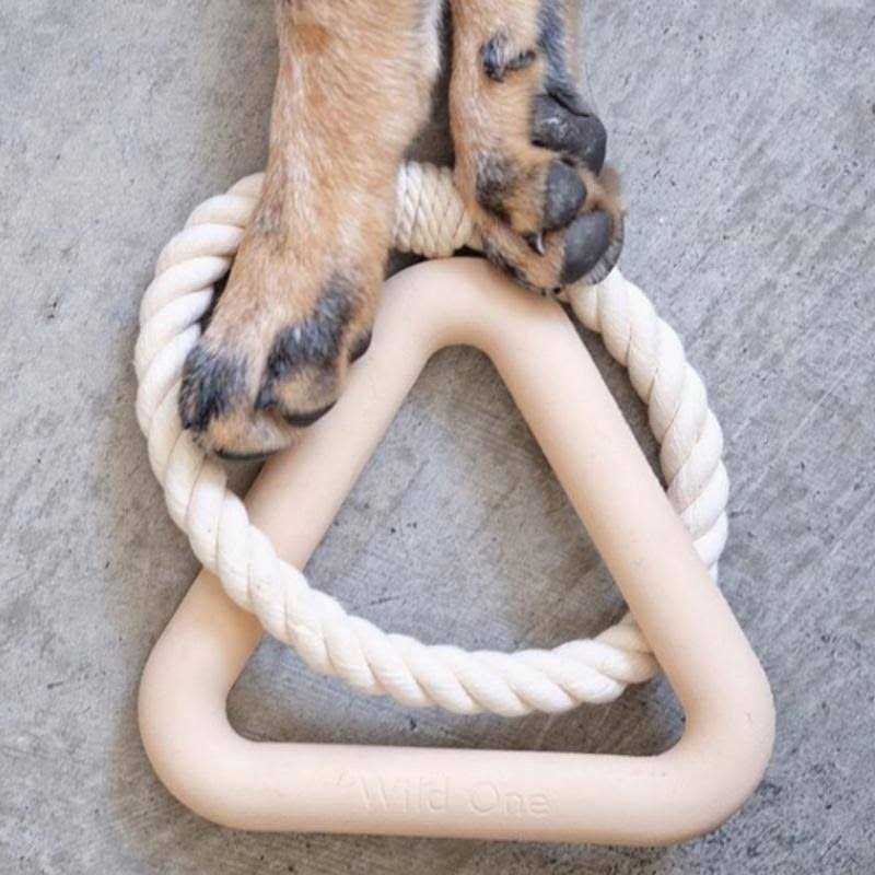 Triangle Tug Dog Toy Z598