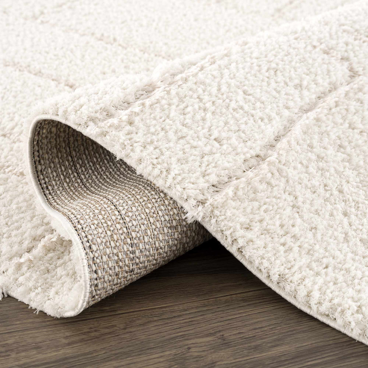 Cream White Plush Pile Area Rug Y23660