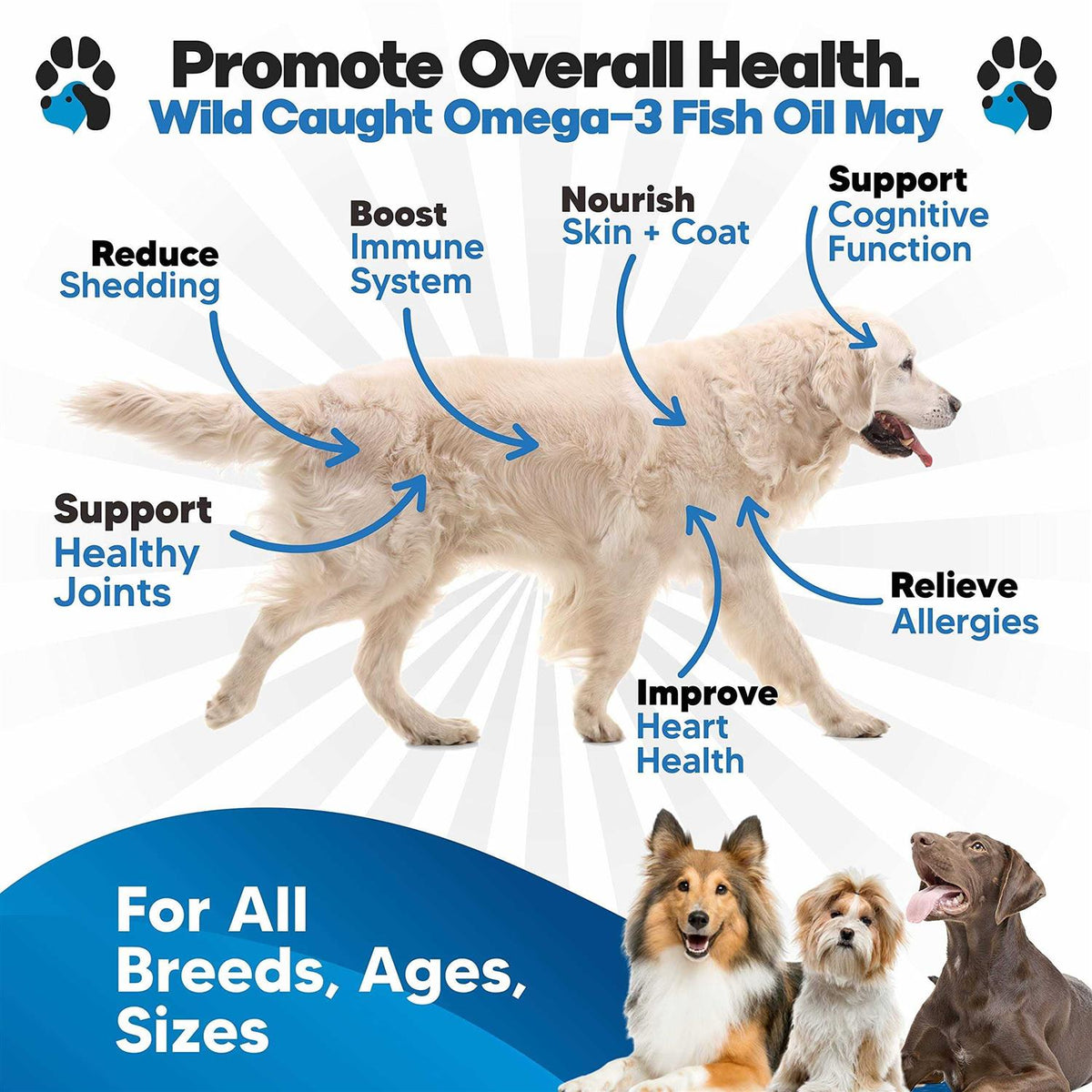 Omega 3 Fish Oil for Dogs F567