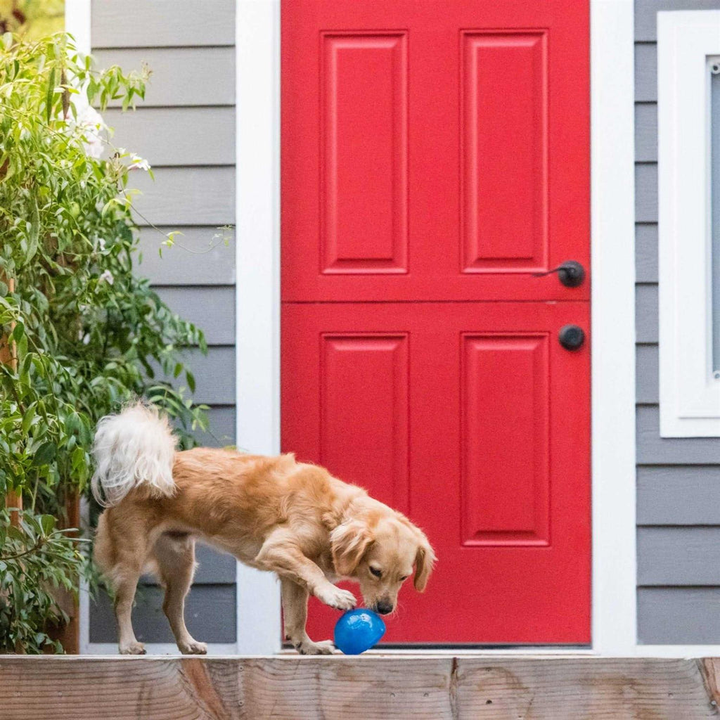 Orbee Tuff Dog Toy M96939