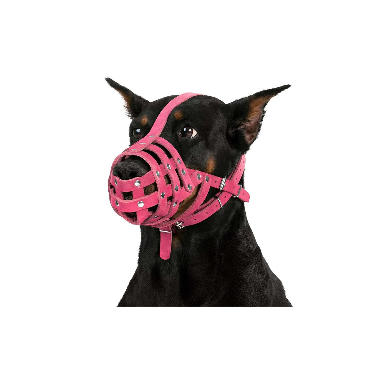 Leather Dog Muzzle Medium Large Breeds E926620
