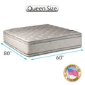 Queen Size Plush PillowTop Mattress with Mattress Cover Y88868
