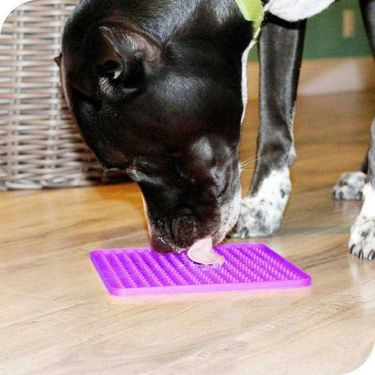 Puppy Starter Kit Dog Toys Dog Bed Blankets Grooming Tool Y622