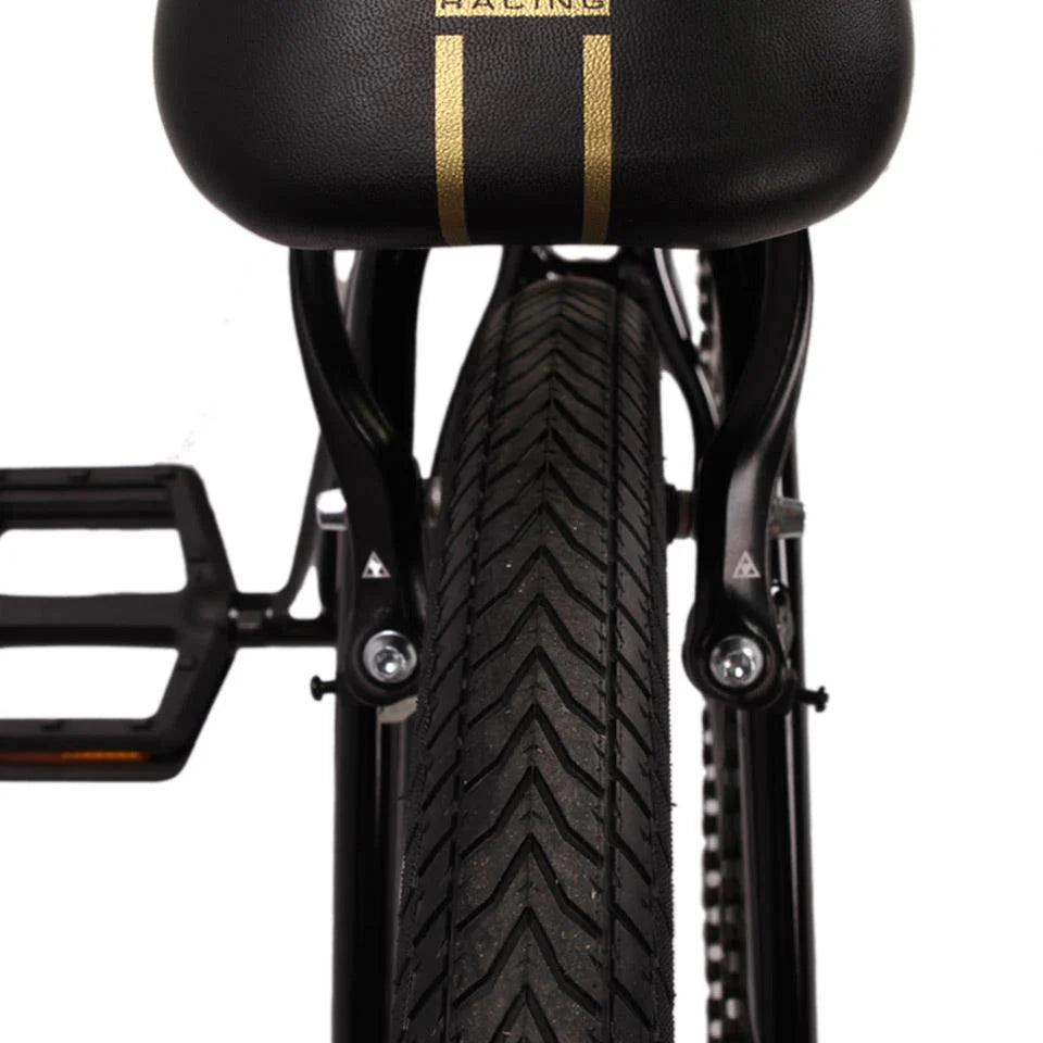 24 Cruiser Race Bike C149