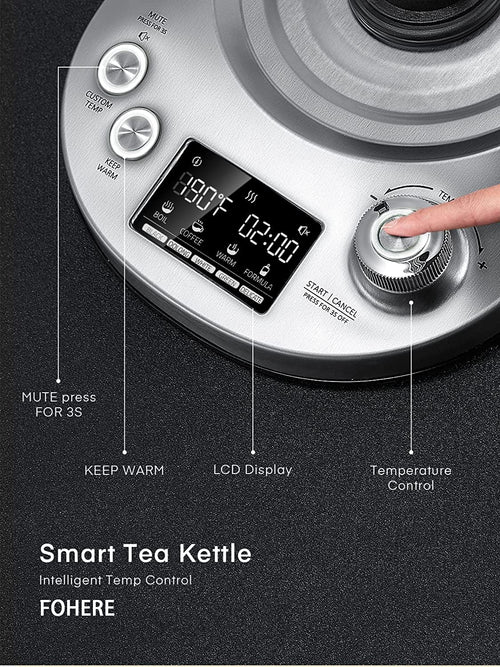 1.7L Borosilicate Glass Electric Tea Kettle with Temperature Control Q74102