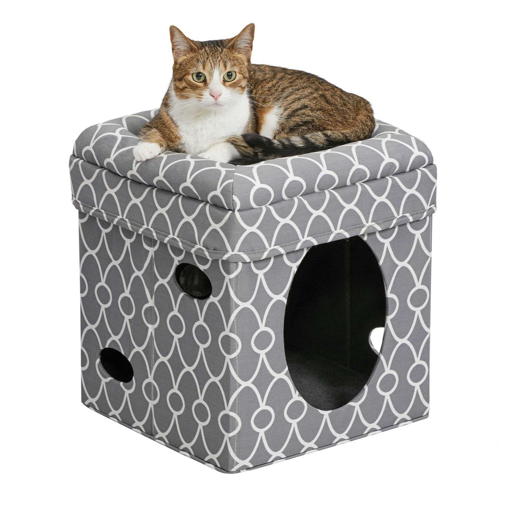 Curious Cat Cube G929372