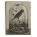 18x24 Planked Wood Wall Decor A69865