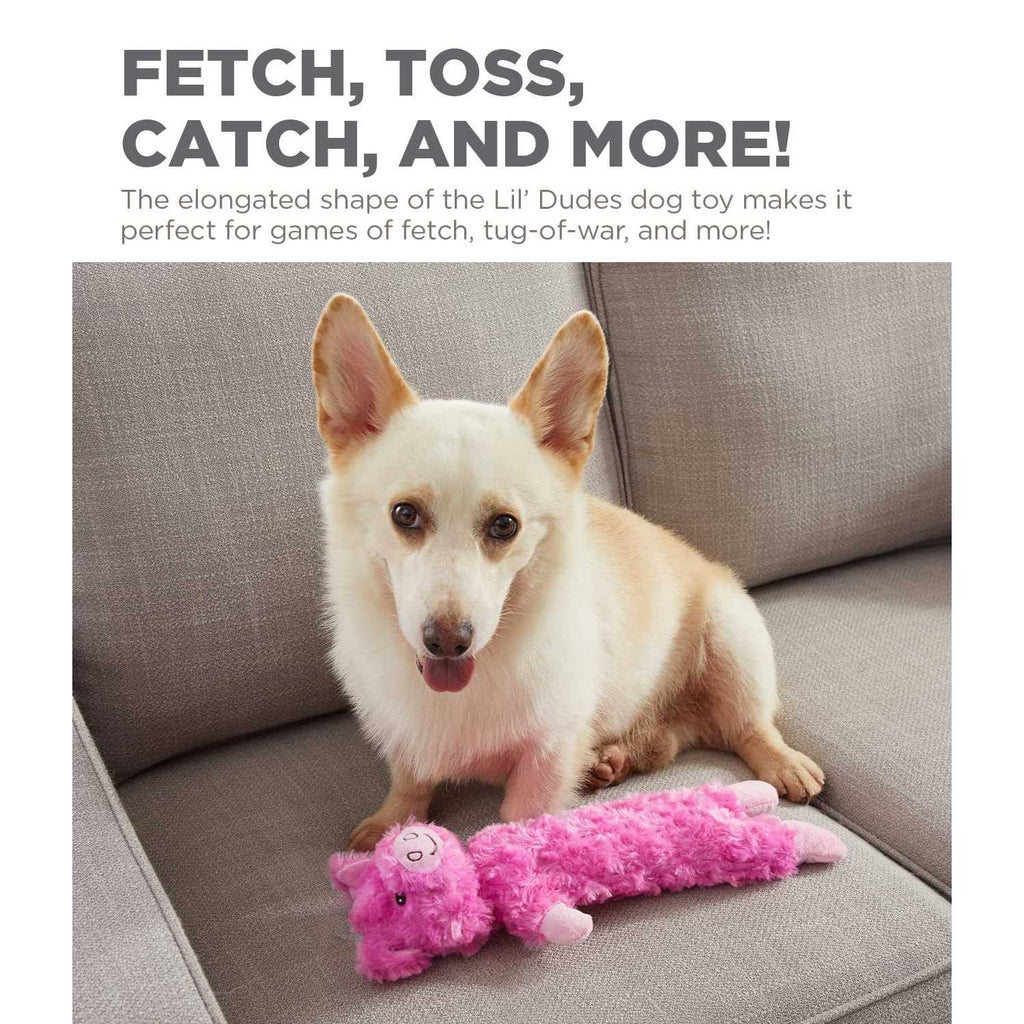 Pig Dog Toy H35556