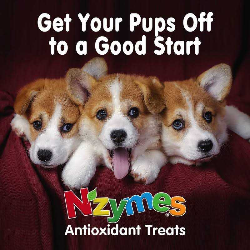 Antioxidant Treats for Pets L598246