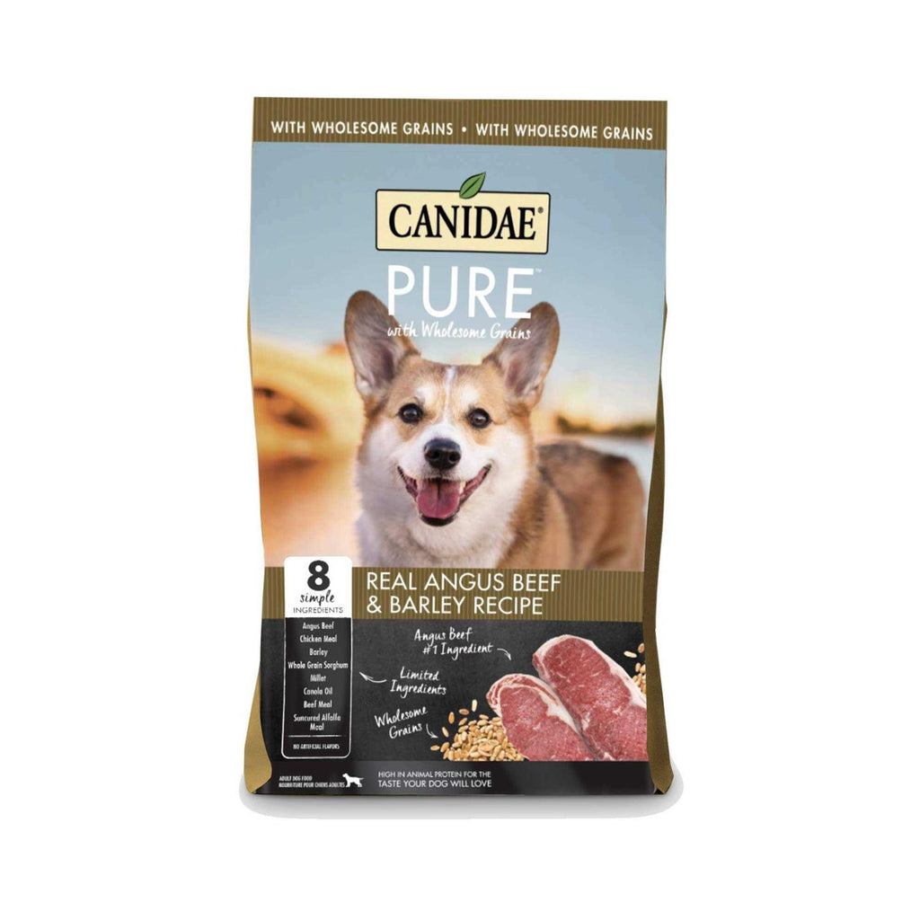 Beef & Barley Recipe Dry Dog Food E522286