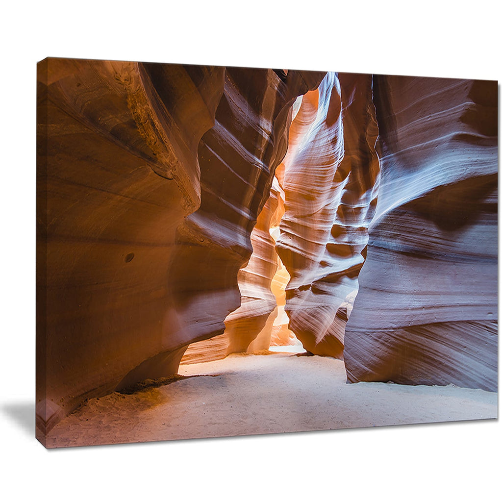 Brown Landscape Photo Canvas Print W244