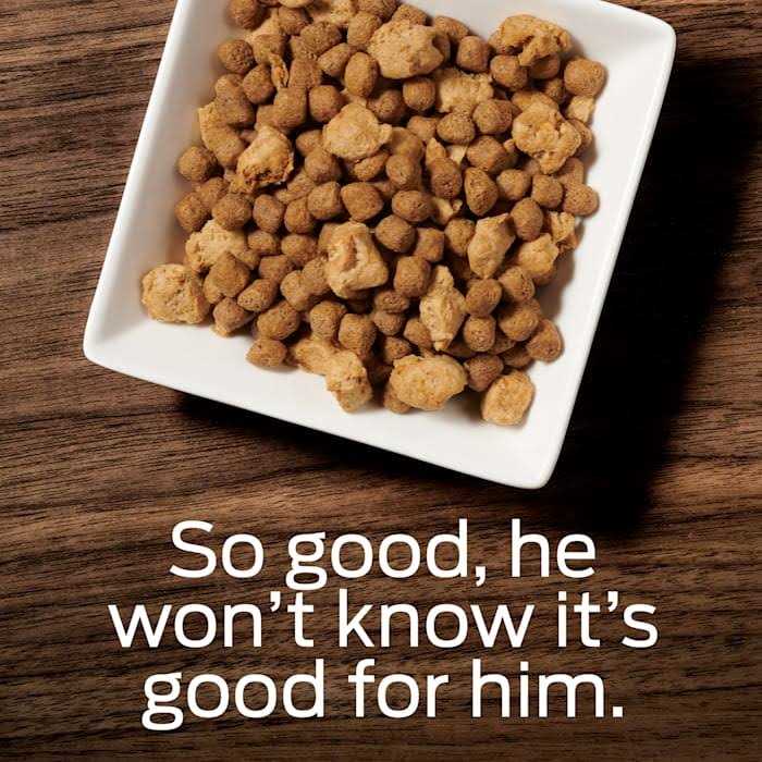 OM Select Blend Overweight Management Dry Dog Food E6782