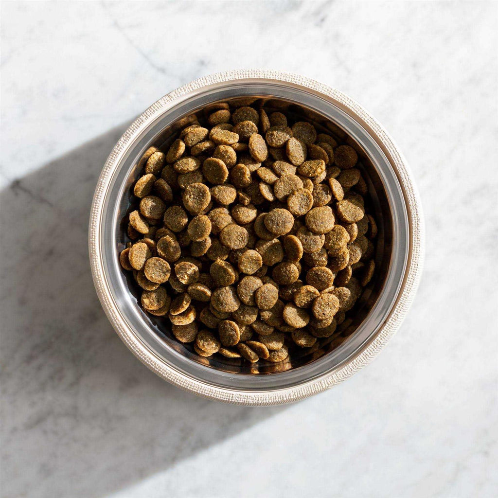 Grain Free Dog Food T60813