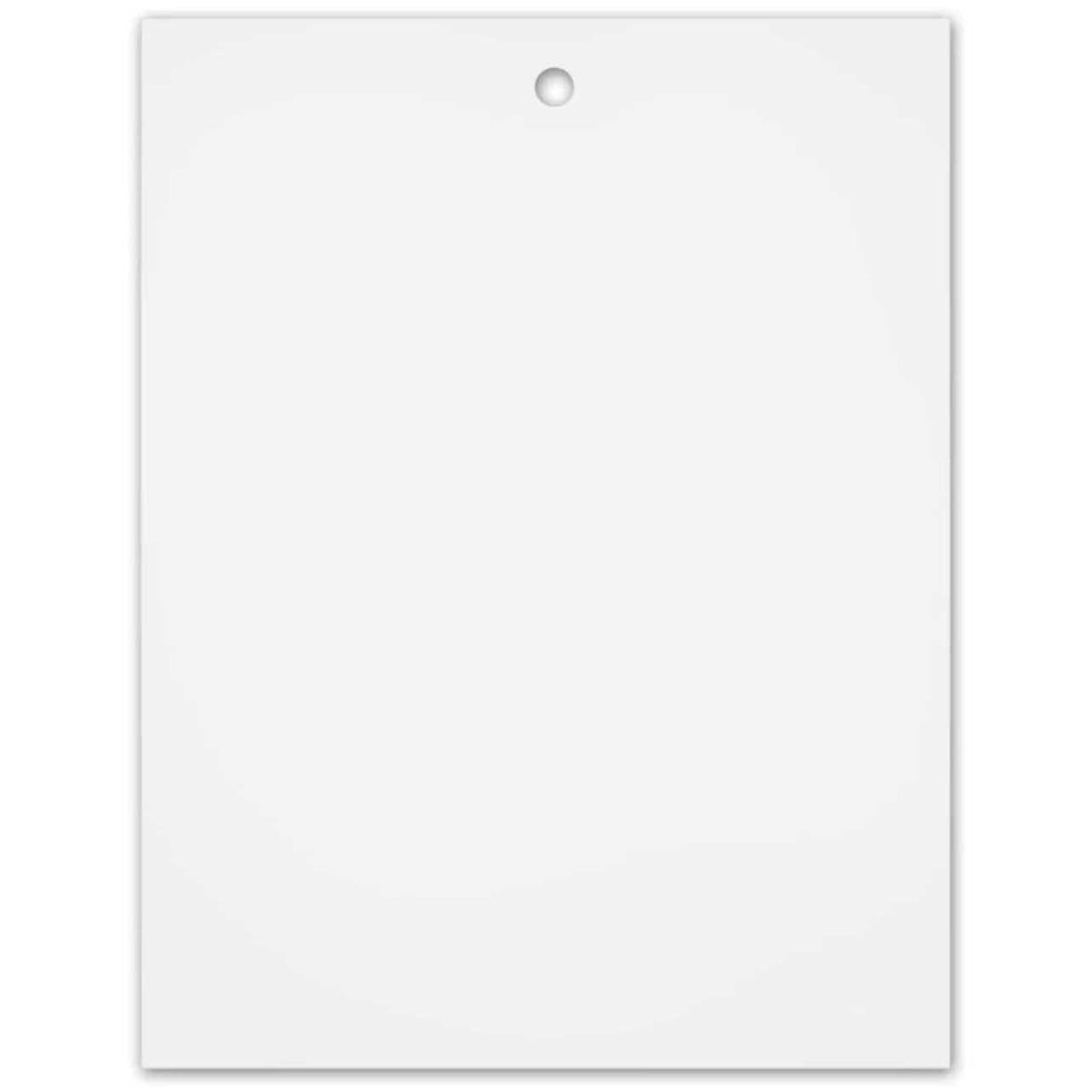 Pet Doors Replacement Closing Panel B210224