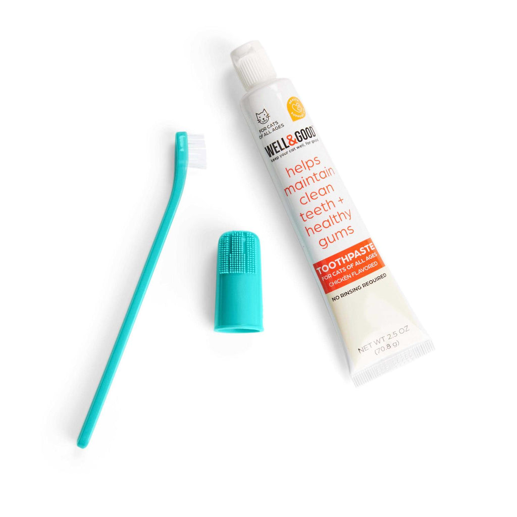 Chicken Flavored Cat Dental Health Kit N186
