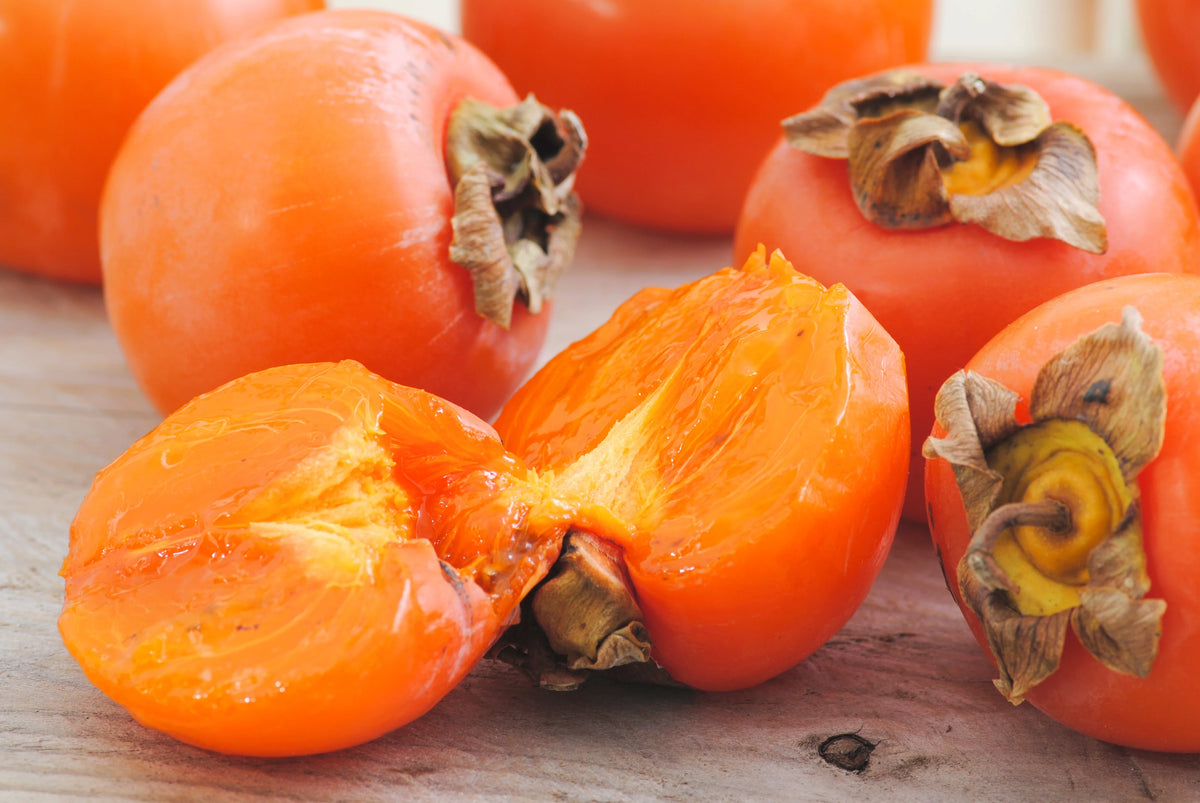 4-5ft Fuyu Persimmon Edible Fruit G880828