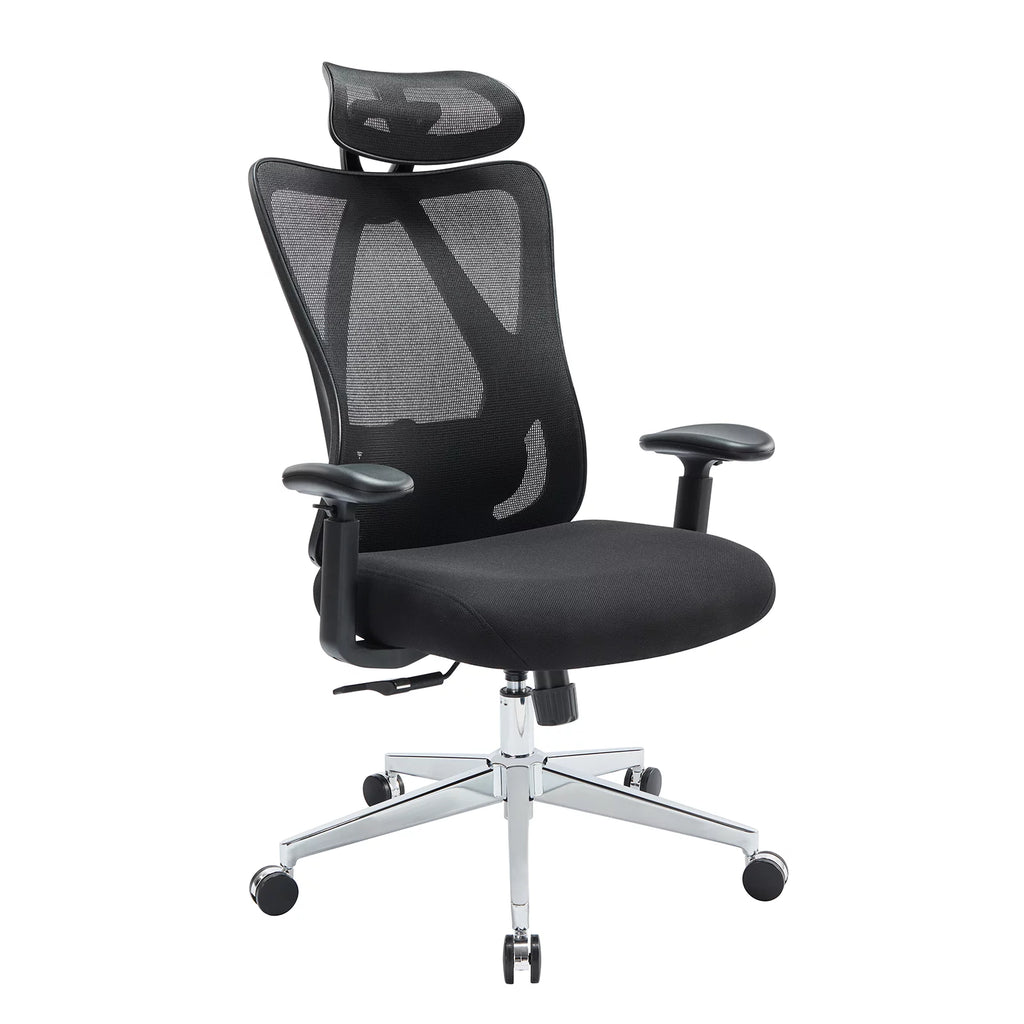Ergonomic Office Chair with Adjustable Headrest and Lumbar Support C16680