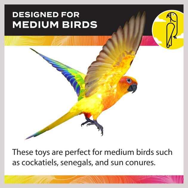 Cockatiel Ladder I158