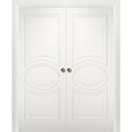 Matte White MDF Sliding French Double Pocket Doors with Kit Rail Hardware T6477