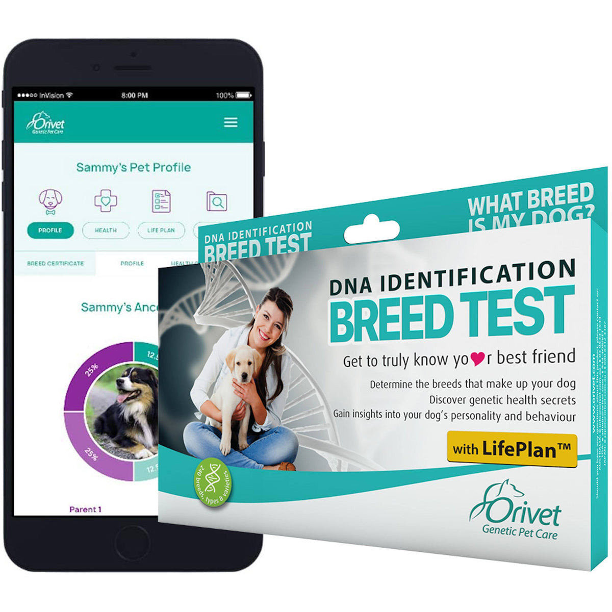 Dog Breed Identification DNA Test S5408