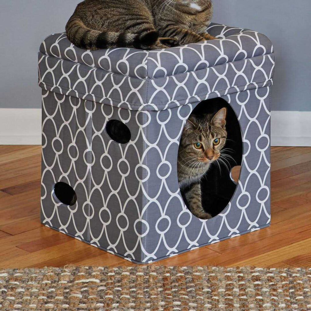 Curious Cat Cube G929372