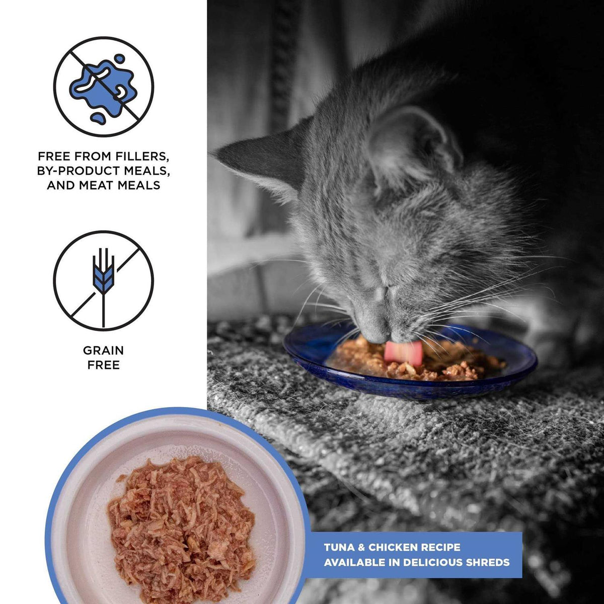 Tuna Recipe Cat Food B624