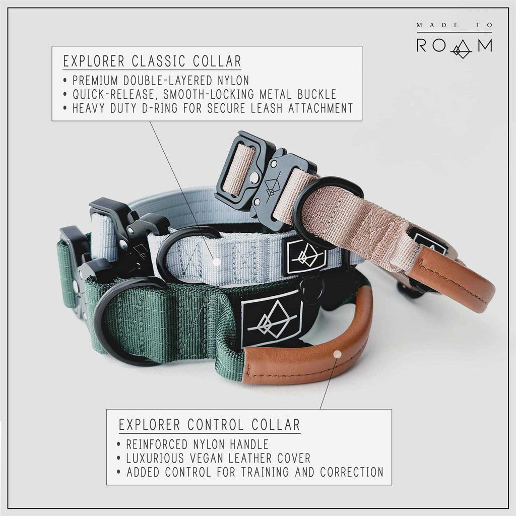 Adjustable Heavy Duty Nylon Dog Collar with Metal Buckle V474747